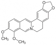 Berberine