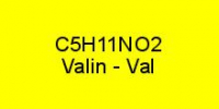 L-Valin rein