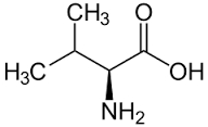 L-Valin rein