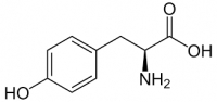 L-Tyrosine pure, Ph.Eur.