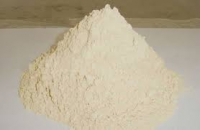 Lecithin soja Pulver