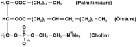 Lecithin soja Pulver